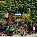 Tinnycross House Bed & Breakfast *