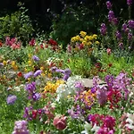 Bed & Breakfast Tinnycross House Ballymore Eustace