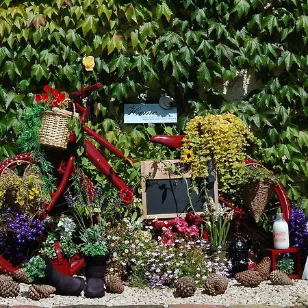 Tinnycross House Bed and Breakfast *