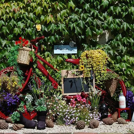 Tinnycross House Bed & Breakfast *