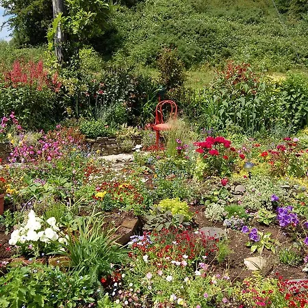 Bed & Breakfast Tinnycross House