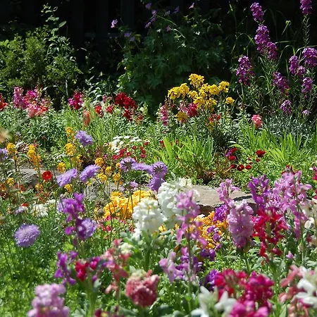 Bed and Breakfast Tinnycross House Ballymore Eustace