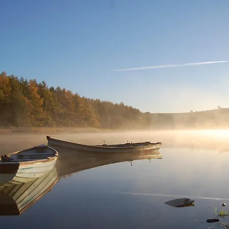Bed & Breakfast Tinnycross House Ballymore Eustace