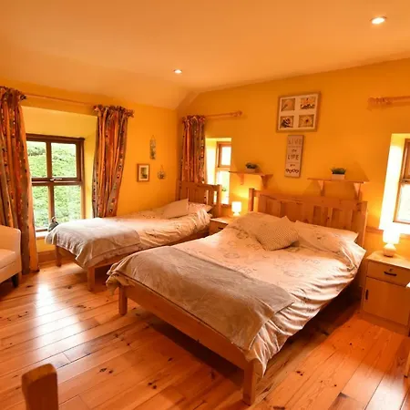 Bed and Breakfast Tinnycross House *