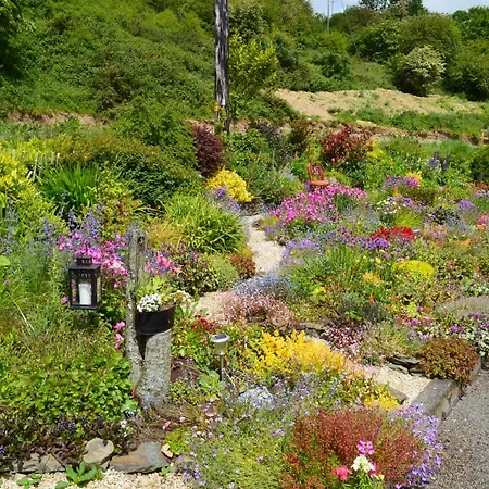 Bed and Breakfast Tinnycross House