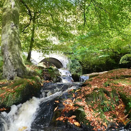 Tinnycross House Nocleg ze śniadaniem *