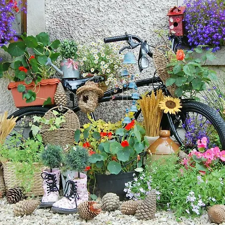 Bed & Breakfast Tinnycross House *