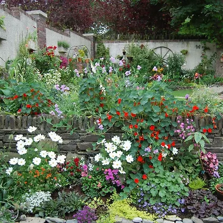 Bed and Breakfast Tinnycross House