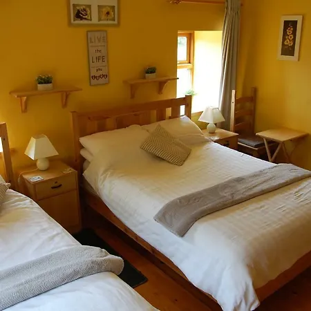 Bed & Breakfast Tinnycross House Ballymore Eustace