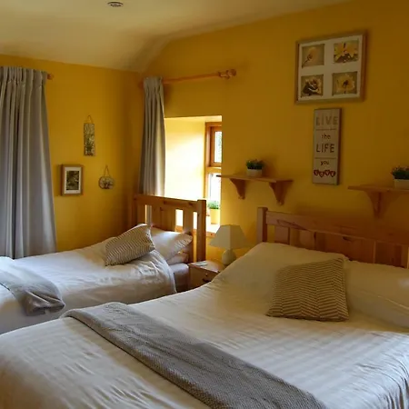 Tinnycross House Bed and Breakfast Ballymore Eustace