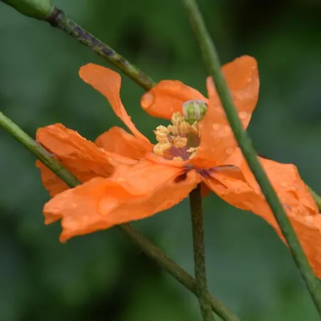 Bed and Breakfast Tinnycross House Ballymore Eustace