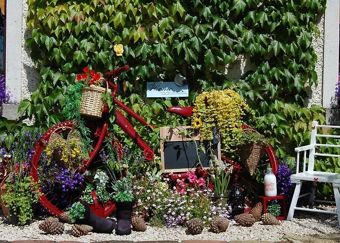 Tinnycross House Bed & Breakfast *