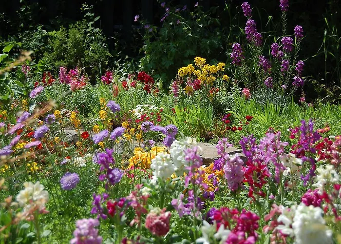 Bed & Breakfast Tinnycross House Ballymore Eustace