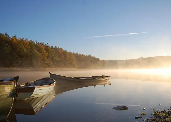 Bed & Breakfast Tinnycross House Ballymore Eustace