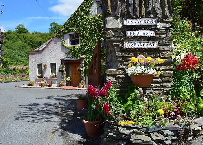 Bed & Breakfast Tinnycross House