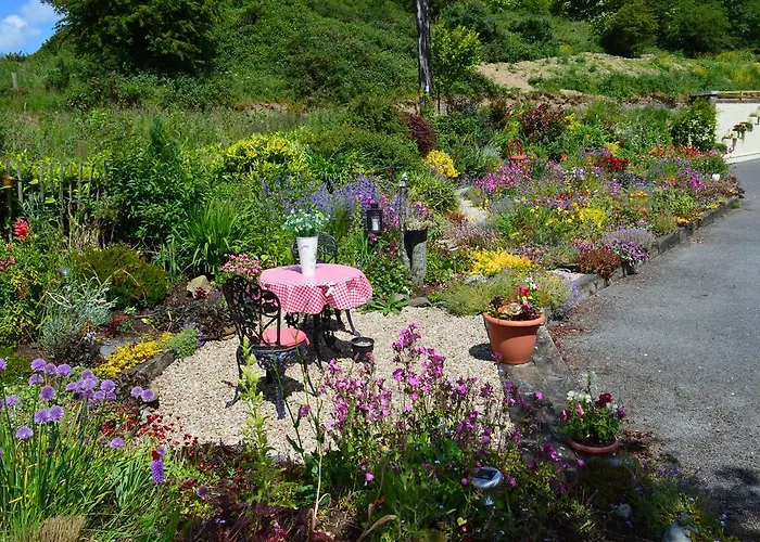 Bed & Breakfast Tinnycross House Ballymore Eustace