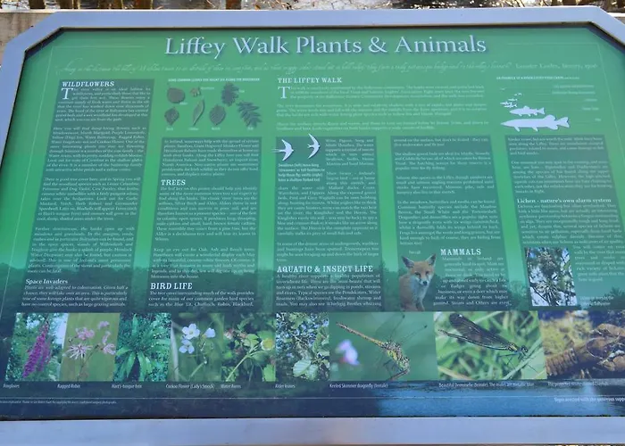 Tinnycross House * Ballymore Eustace