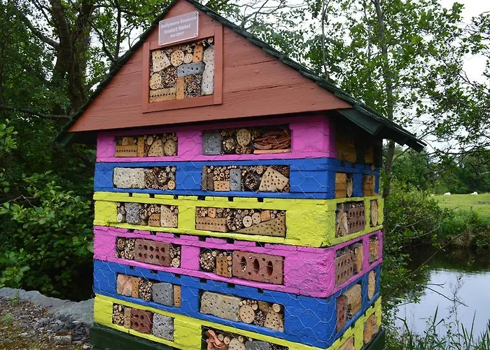 Tinnycross House Bed & Breakfast *