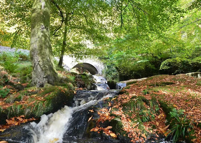 Tinnycross House ベッド・アンド・ブレックファスト *