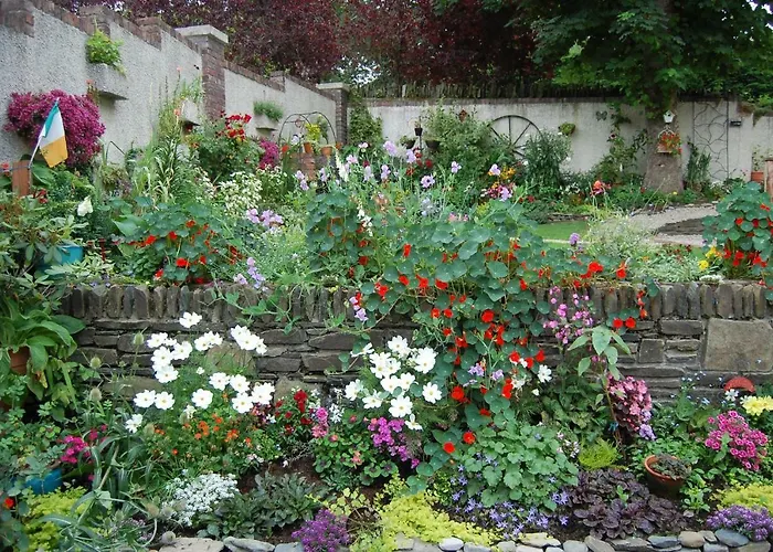 Bed & Breakfast Tinnycross House